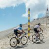 Cykelryttere klatrer op ad Mont Ventoux, ikonisk bjerg i Provence, Frankrig.